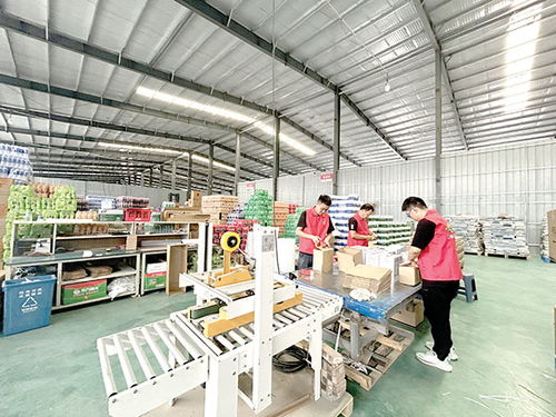 筑巢引商興產業，日用品銷售繪就鄉村新畫卷